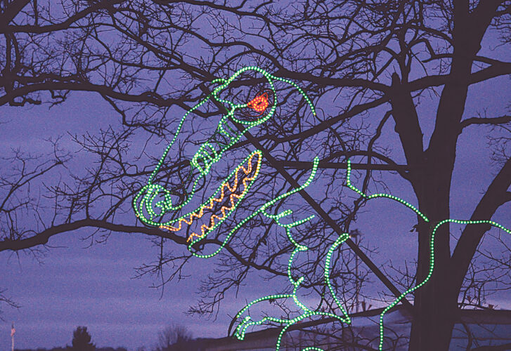 Spirit of the season: City Park, Parkersburg